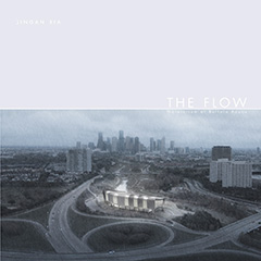 The Flow: Natatorium of Buffalo Bayou   (click for a larger preview)