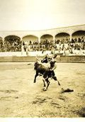 Bullfight 10   (click for a larger preview)