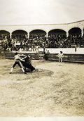 Bullfight 21   (click for a larger preview)
